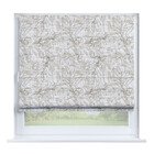 Ветви оливы